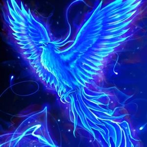 Meet your Posher, Lawrence